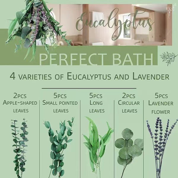 Planta decorativa de eucalipto natural de lavanda para ducha