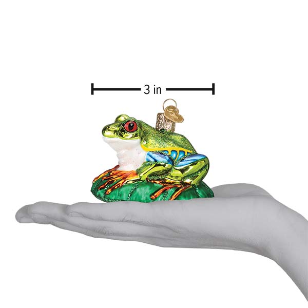 アカメアマガエル オーナメント