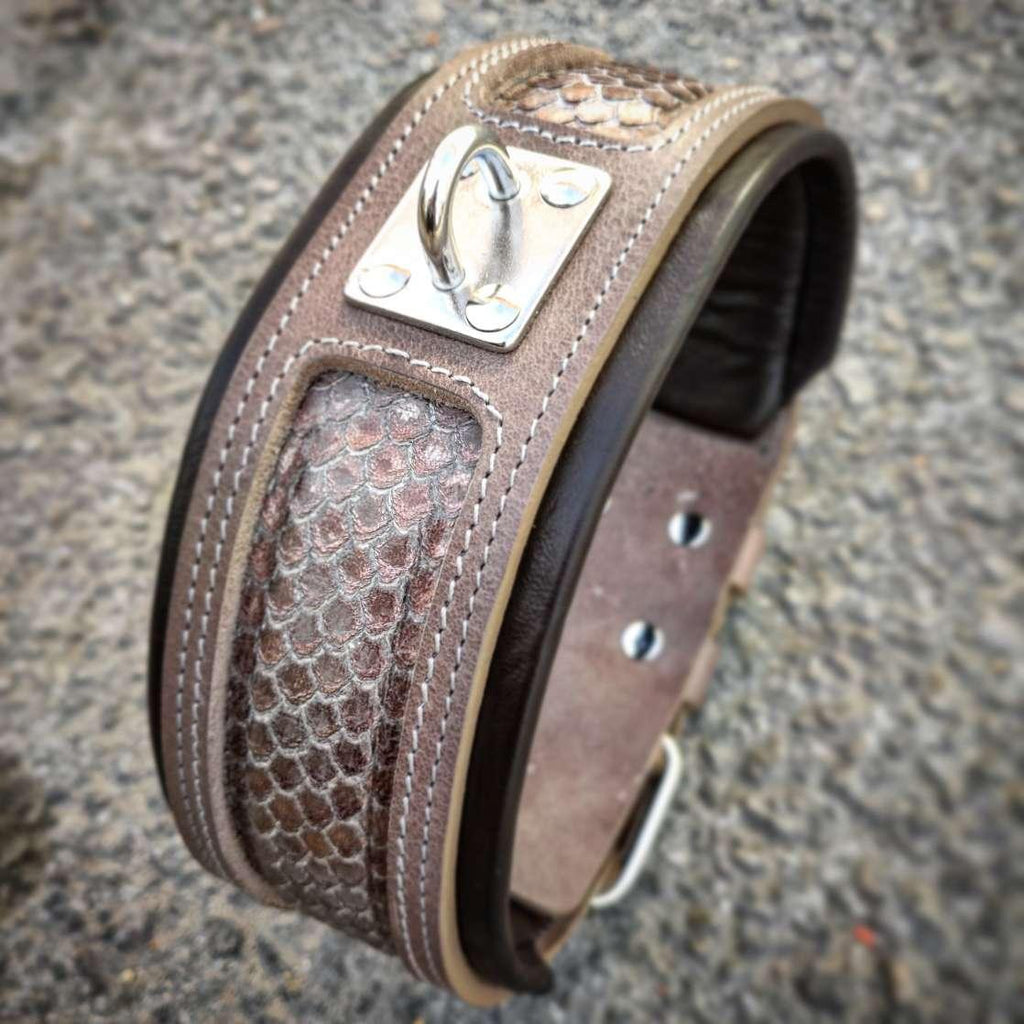 The Python Exclusive Design