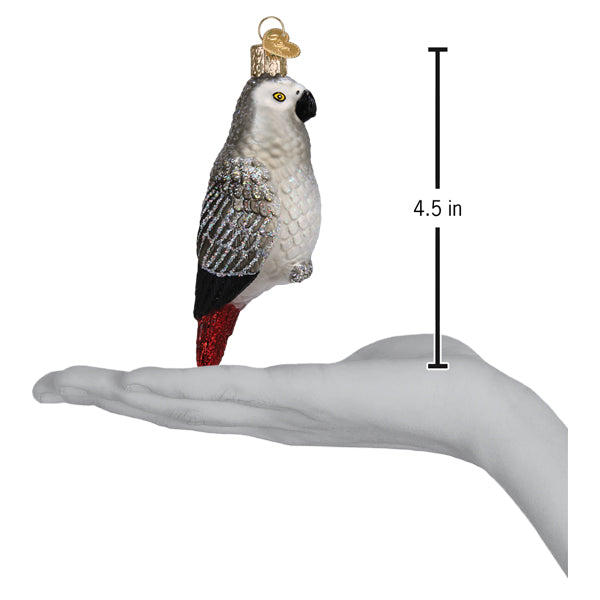 Adorno de Loro Gris Africano