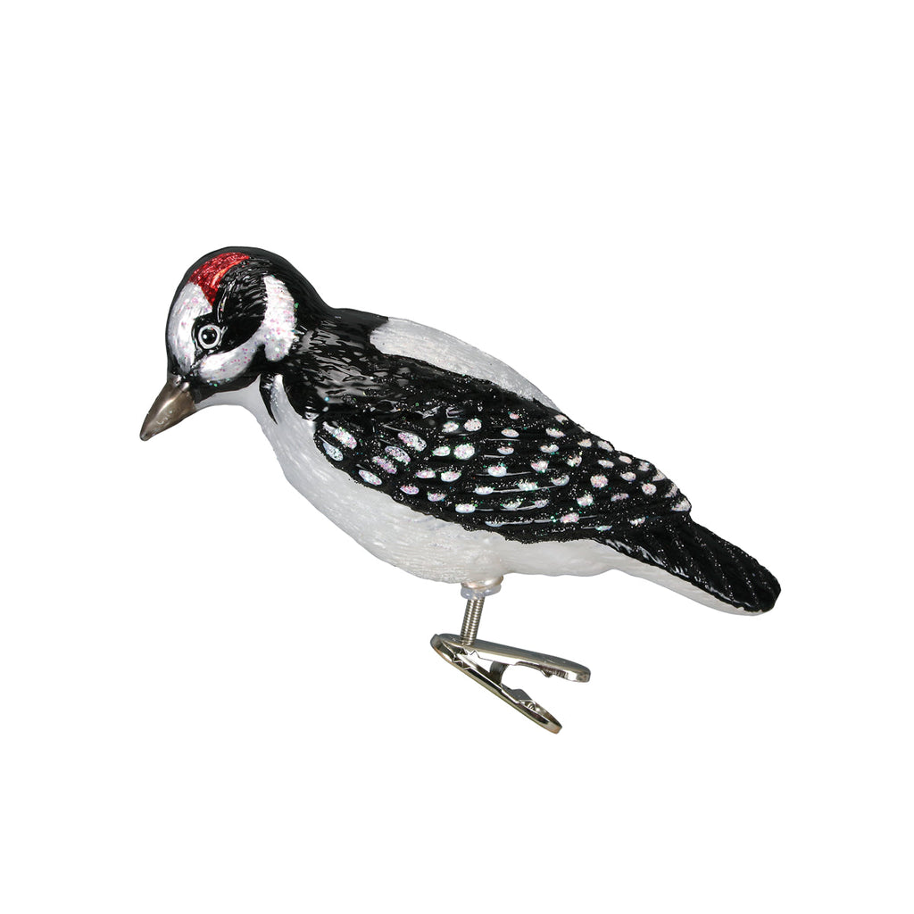 Pájaro Carpintero Velloso con Clip