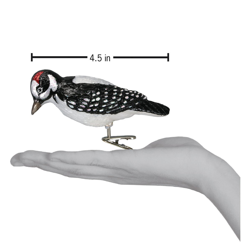 Pájaro Carpintero Velloso con Clip