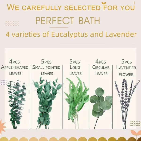 Planta decorativa de eucalipto natural de lavanda para ducha