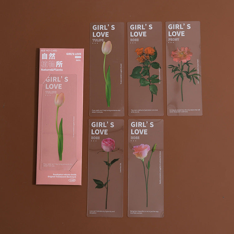 Dried Flower Bookmark Natural Plant Daisy Literary Bookmark