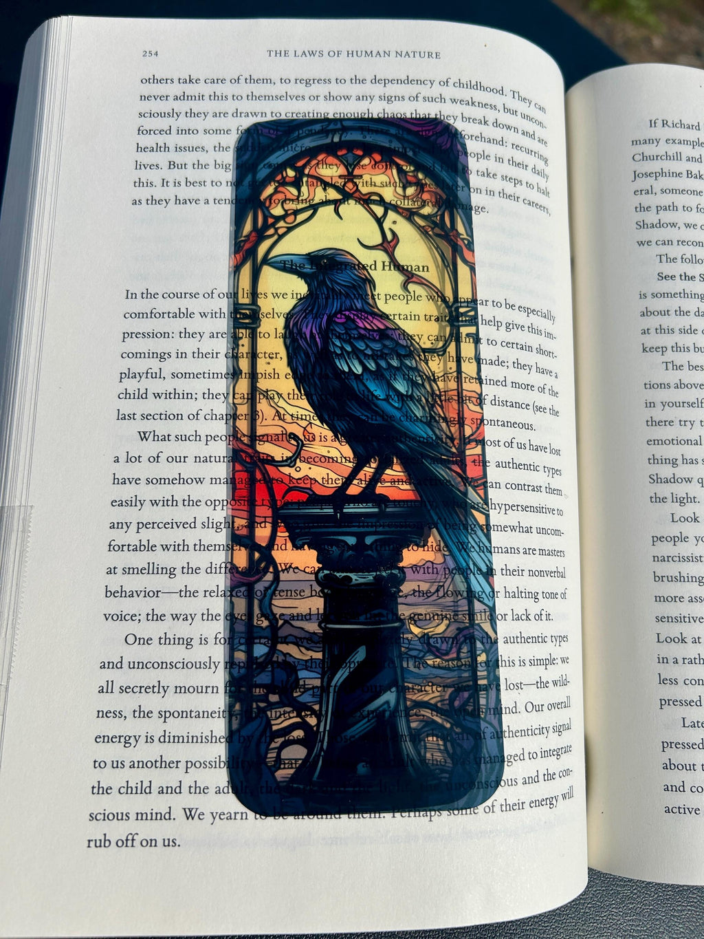 Bookmark | Dark Raven Bookmark – Gothic Bird in Flight