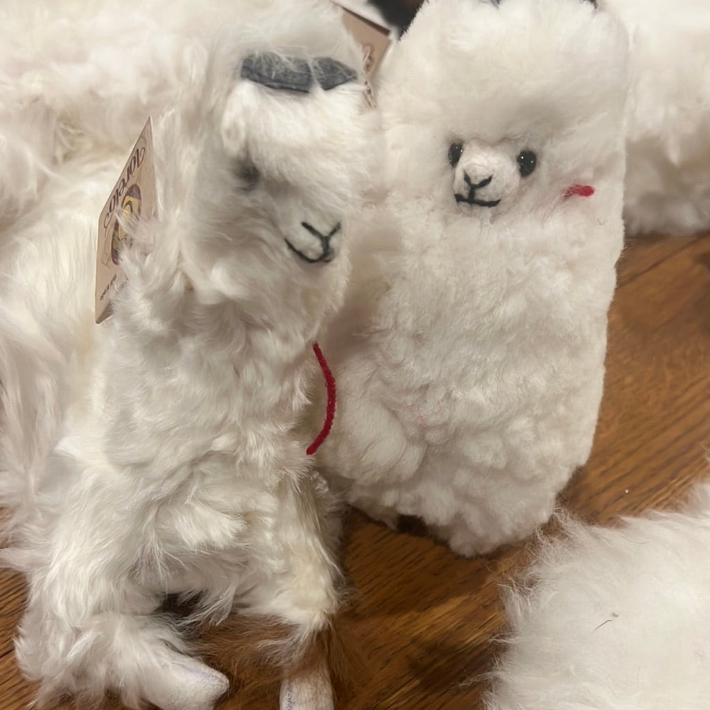 Stuffed Animal | Llama Stuffies