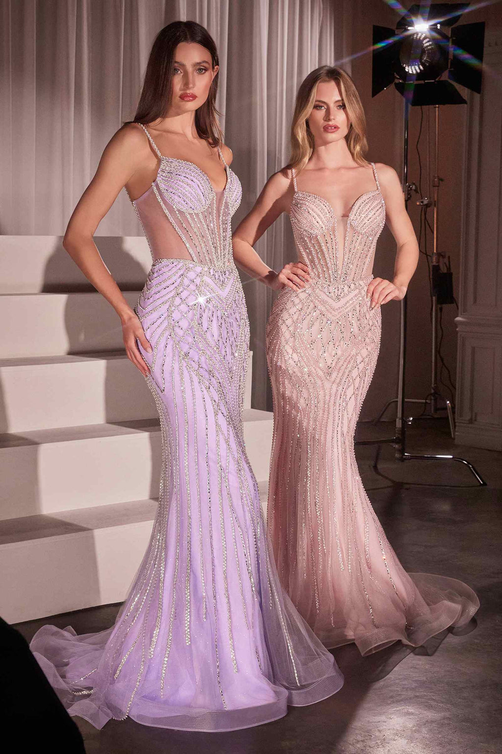 Ladivine CD759 Embellished Fit & Flare Prom Dress is a formal dress for prom, pageant, red carpet. It features tulle styling and a polished formalwear look suited for Honey Badger Books shoppers selecting special-occasion apparel.