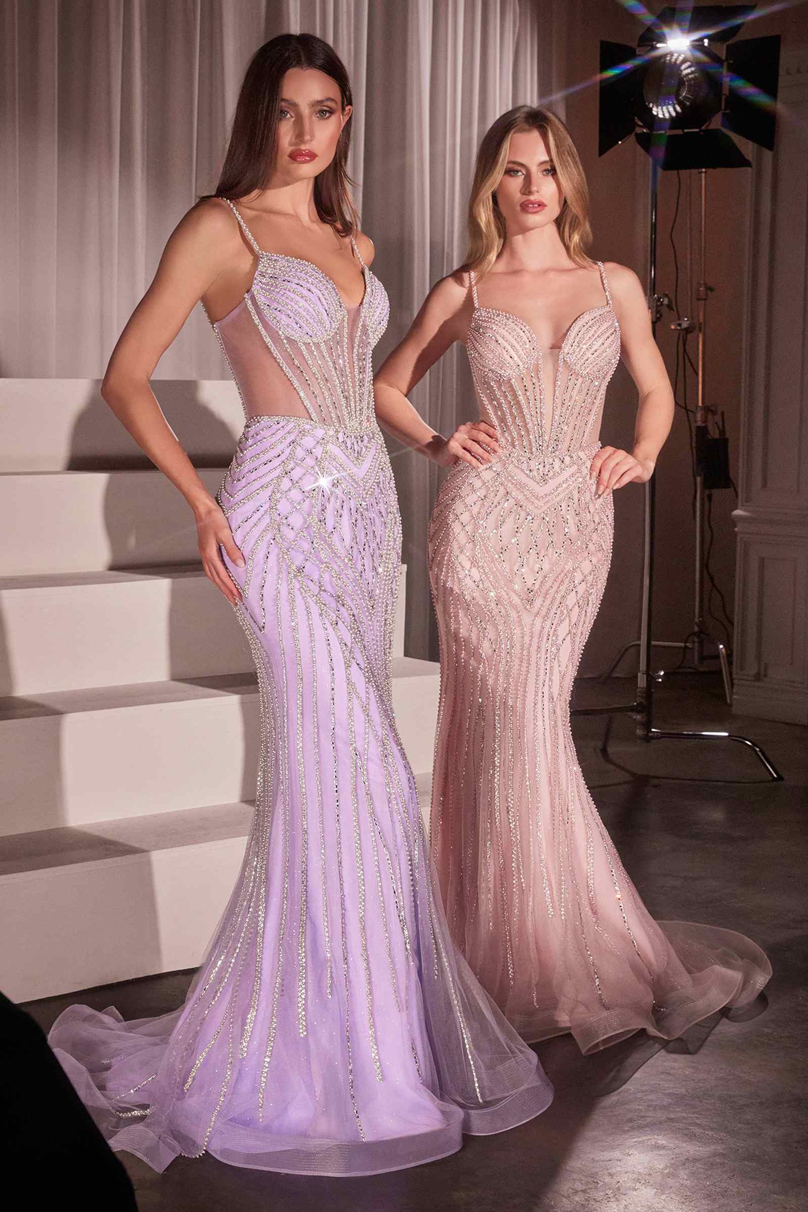 Ladivine CD759 Embellished Fit & Flare Prom Dress is a formal dress for prom, pageant, red carpet. It features tulle styling and a polished formalwear look suited for Honey Badger Books shoppers selecting special-occasion apparel.