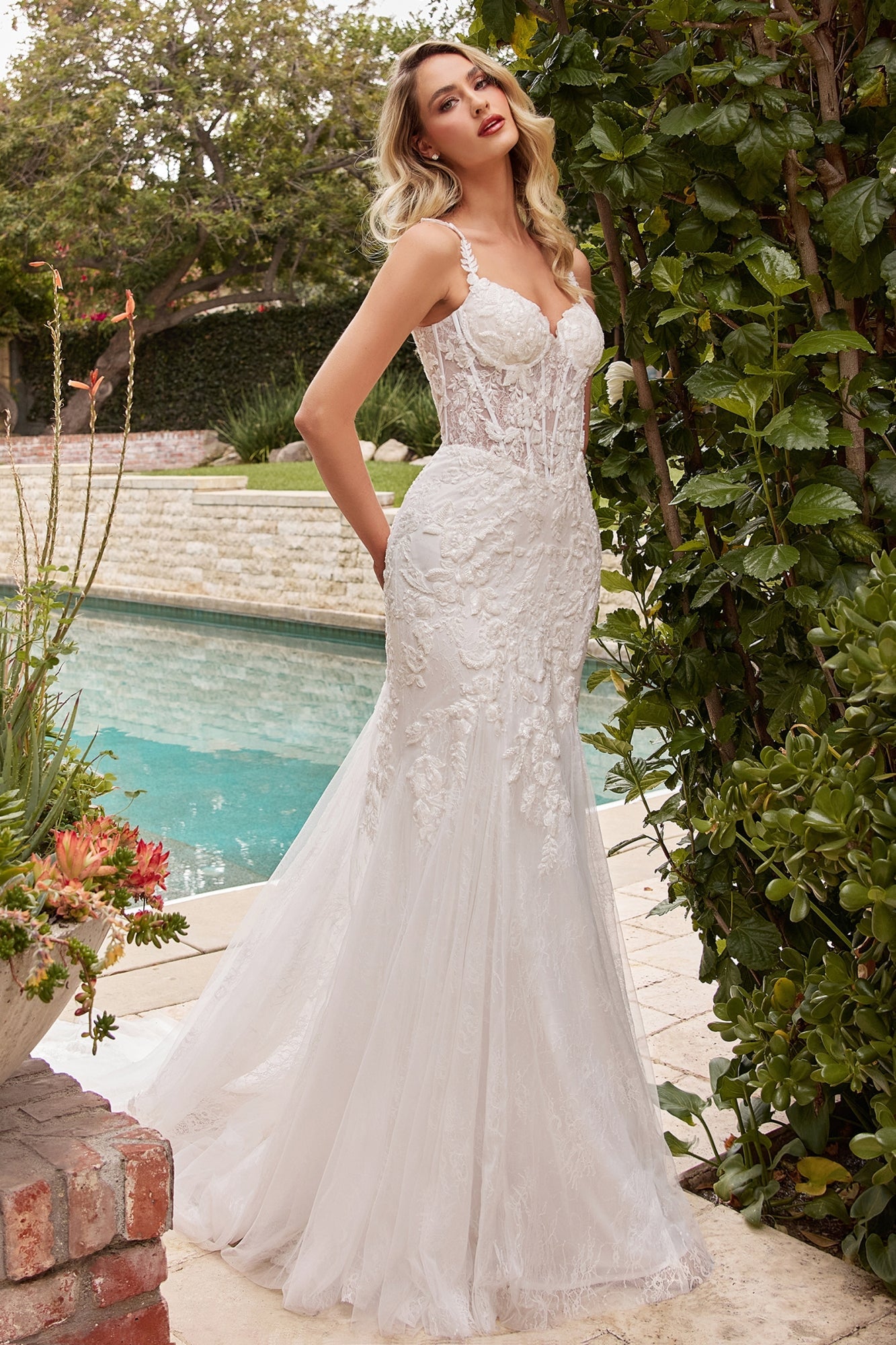 Wedding Dress | Ladivine Cds432w Mermaid Light Tulle Overlay Over Chantilly