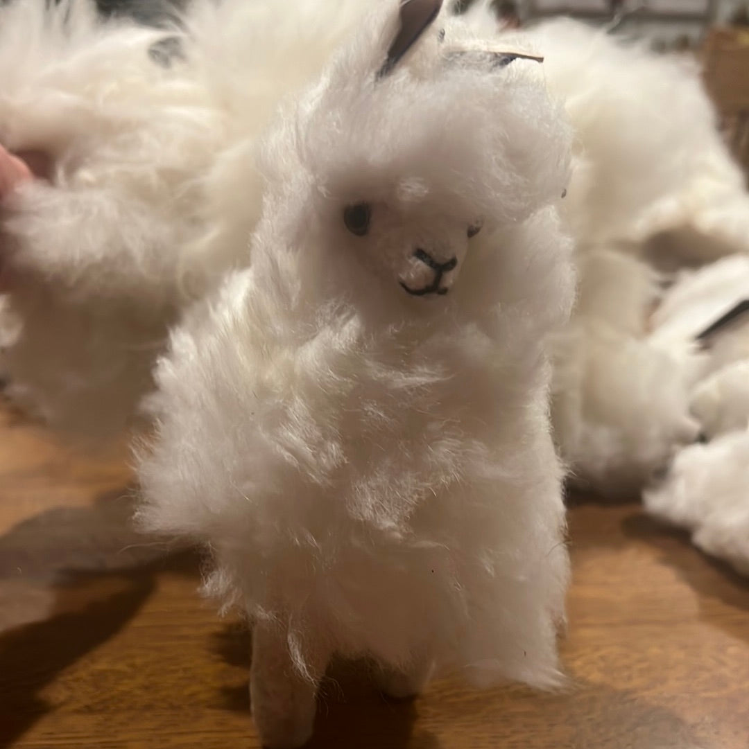 Stuffed Animal | Llama Stuffies
