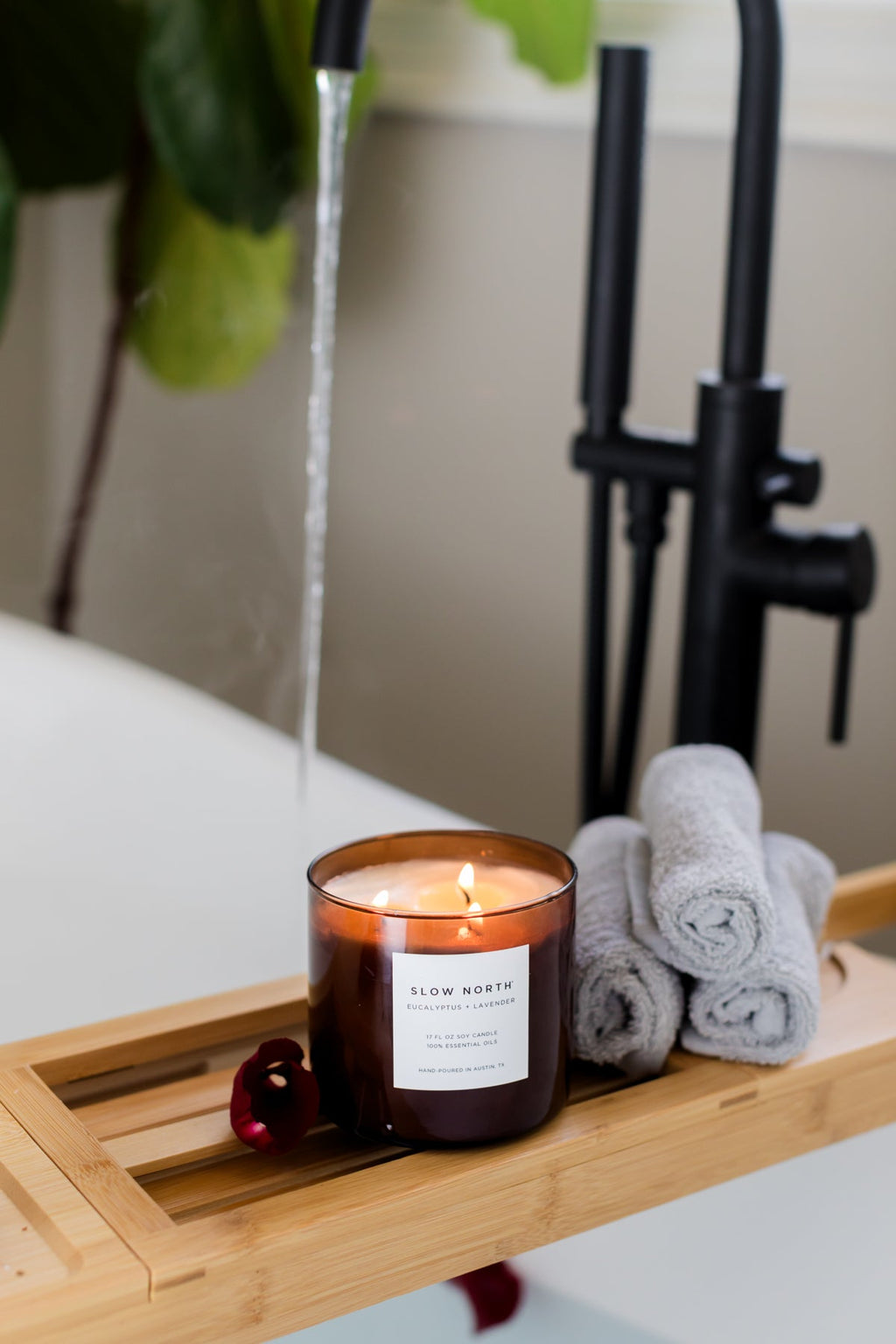 Eucalyptus Lavender Signature 3 Wick Candle