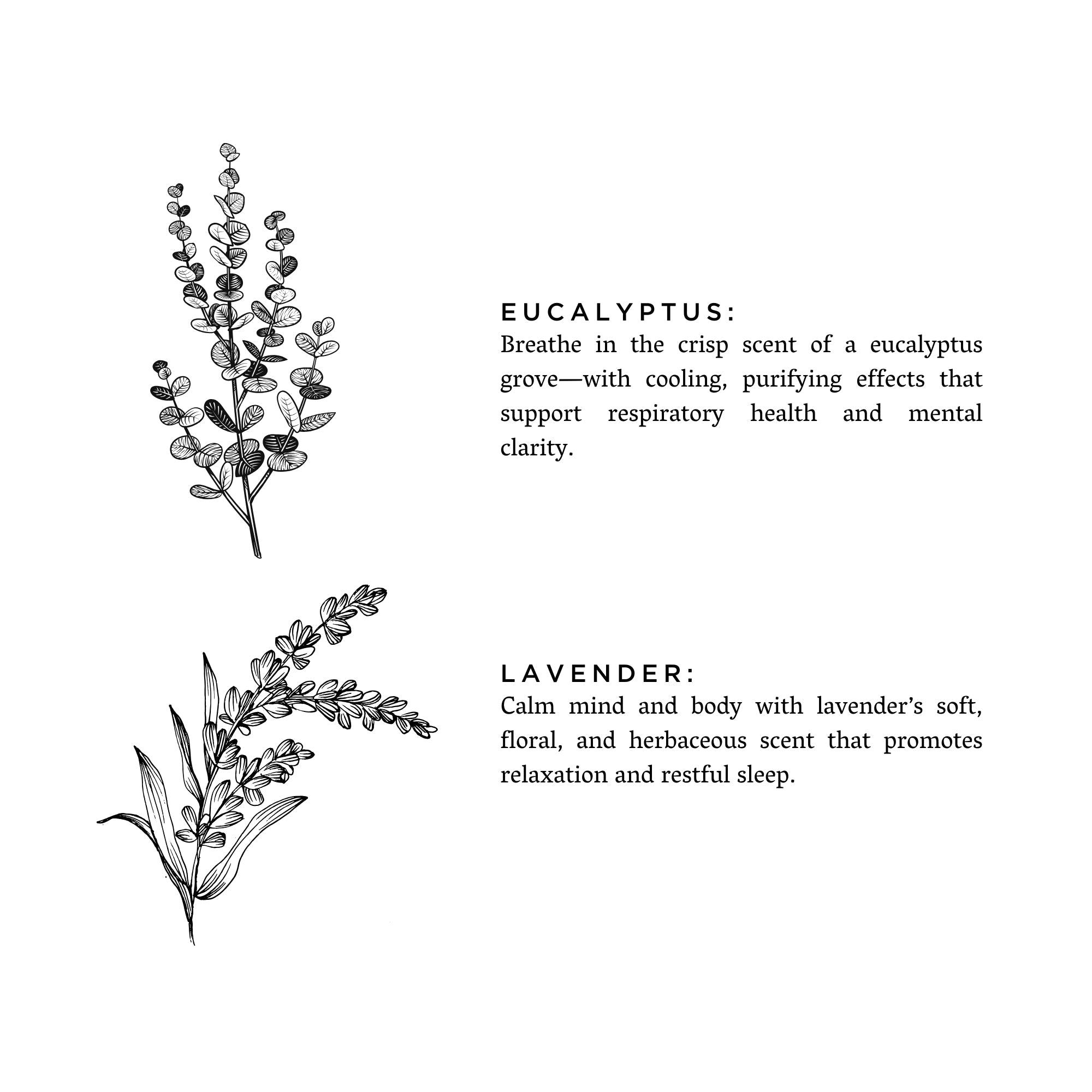 Eucalyptus Lavender Signature 3 Wick Candle