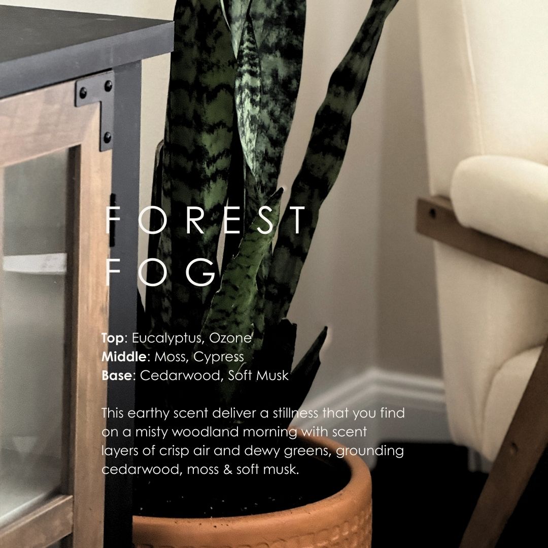 Forest Fog Room & Linen Spray is a Honey Badger Books & Boutique home fragrances selected for a clear product fit, gift-ready presentation, and everyday usefulness. Sourced from Grand Candles, it is categorized for shoppers looking for home fragrances without mixing unrelated apparel, book, food, pet, or home-decor signals. Best-fit category: Home & Garden > Decor > Home Fragrances. This description supports Amazon and marketplace search while keeping the product identity accurate and specific.