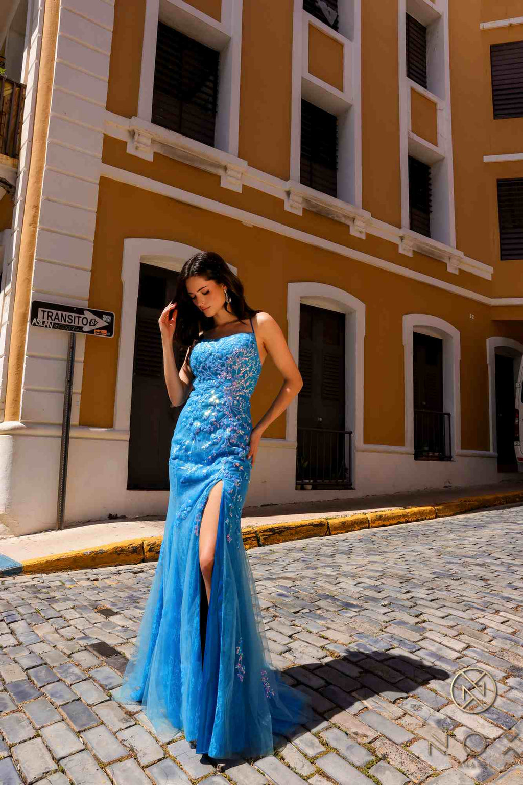 Dress | Nox Anabel P1401 Long Fitted Square Neck Tulle