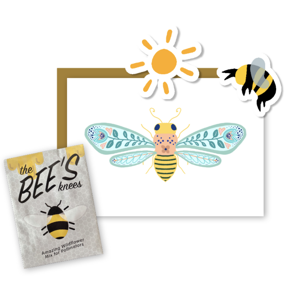 Kit de bienvenida para jardín de abejas de flores silvestres con semillas no transgénicas, hojas informativas y tarjeta de felicitación de arte popular con arte de abeja dibujado a mano (Celebra a los polinizadores)
