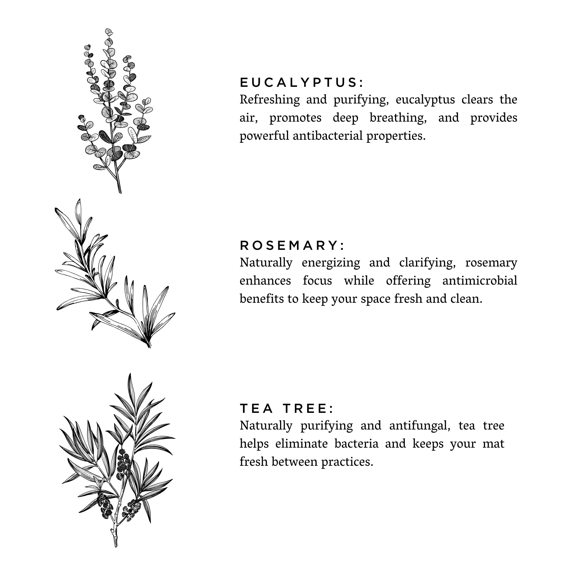 Yoga Mat Spray Eucalyptus Rosemary