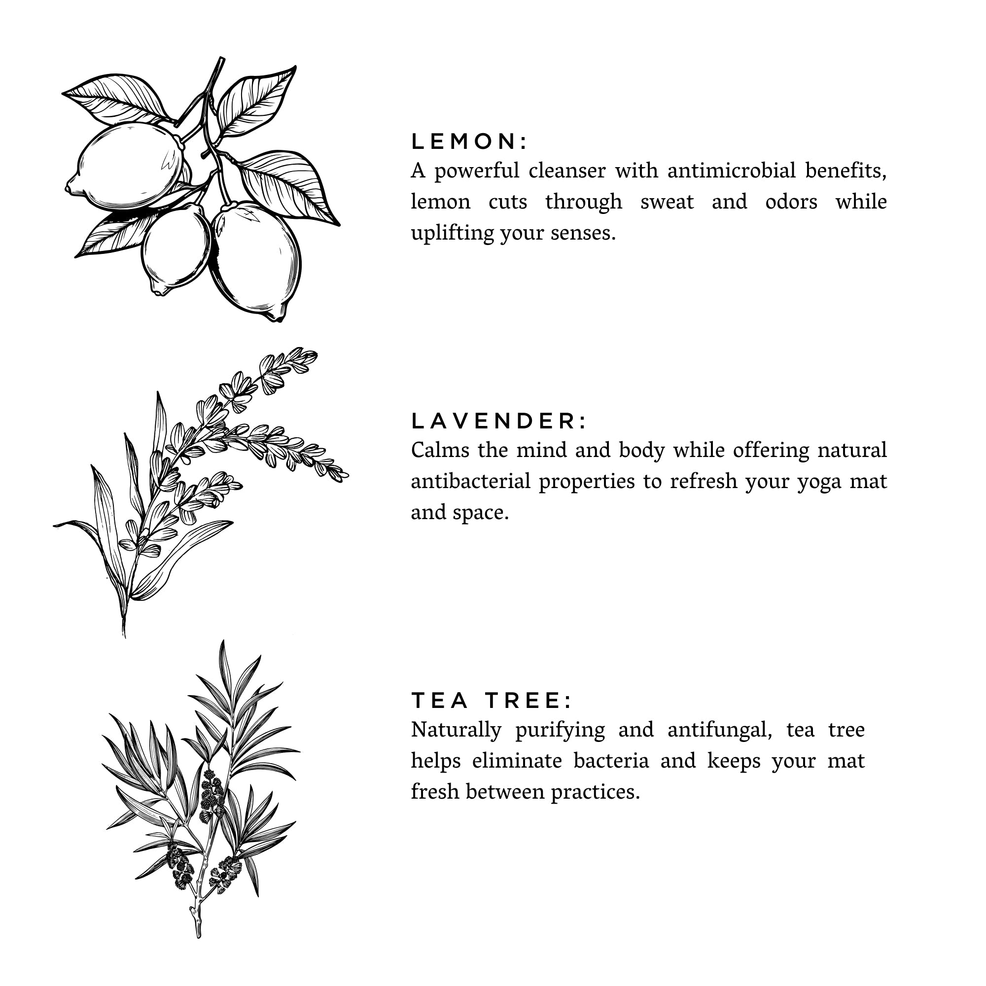Yoga Mat Spray Lavender Lemon