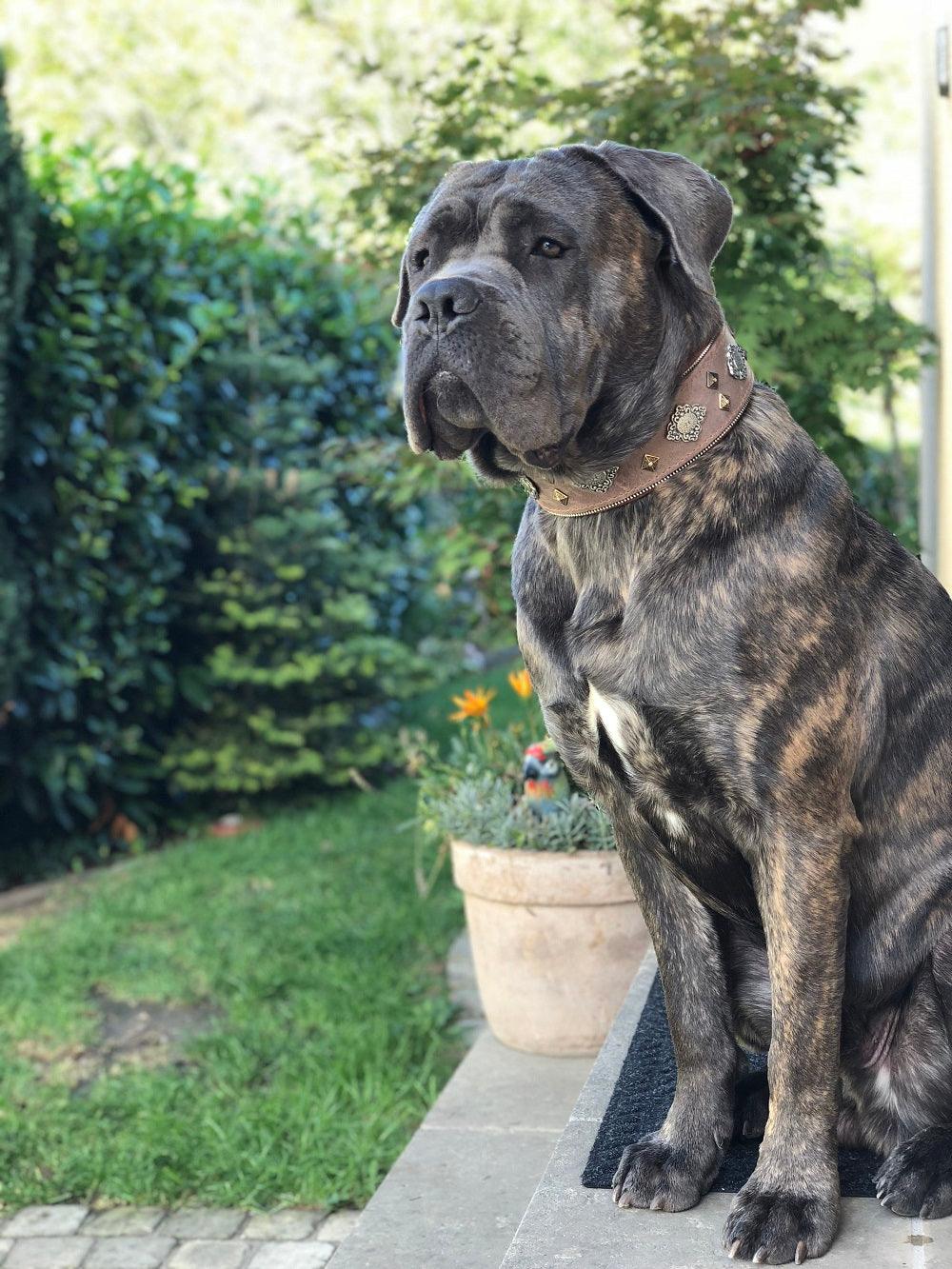 Aztec Grey Dog Collar