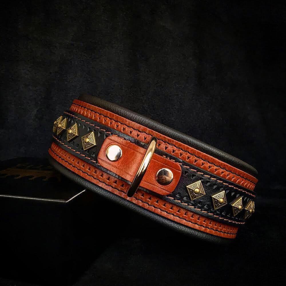 The Balteus Brown Collar