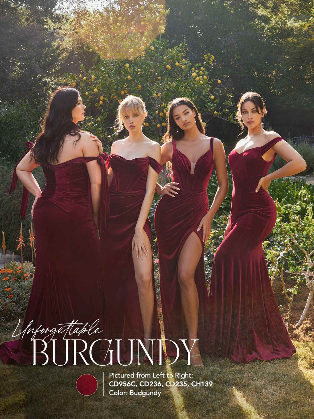 Dress | Cinderella Divine Cd235 Long Velvet Gathered Fitted Dress
