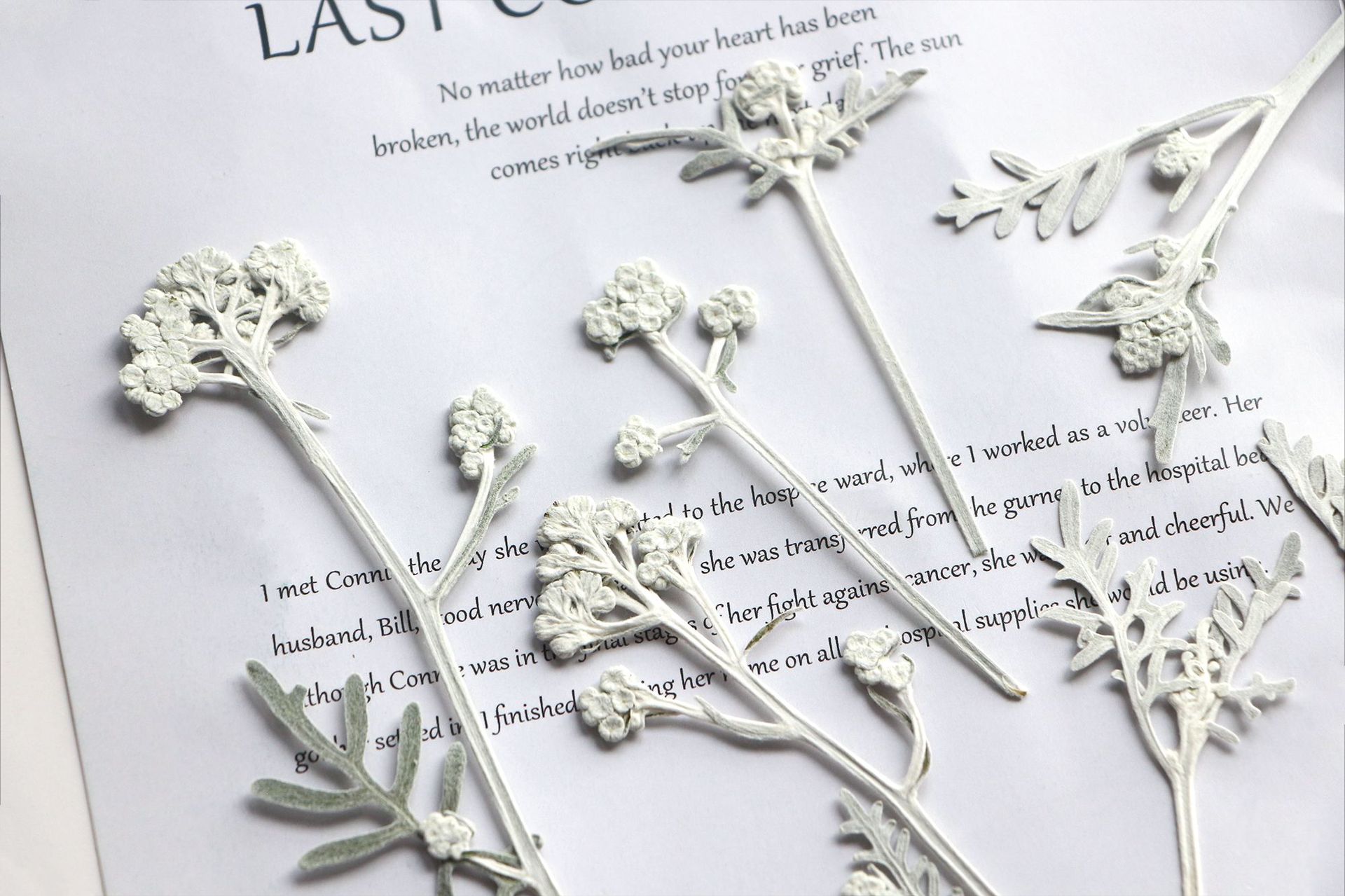 Silver Chrysanthemum Bookmark