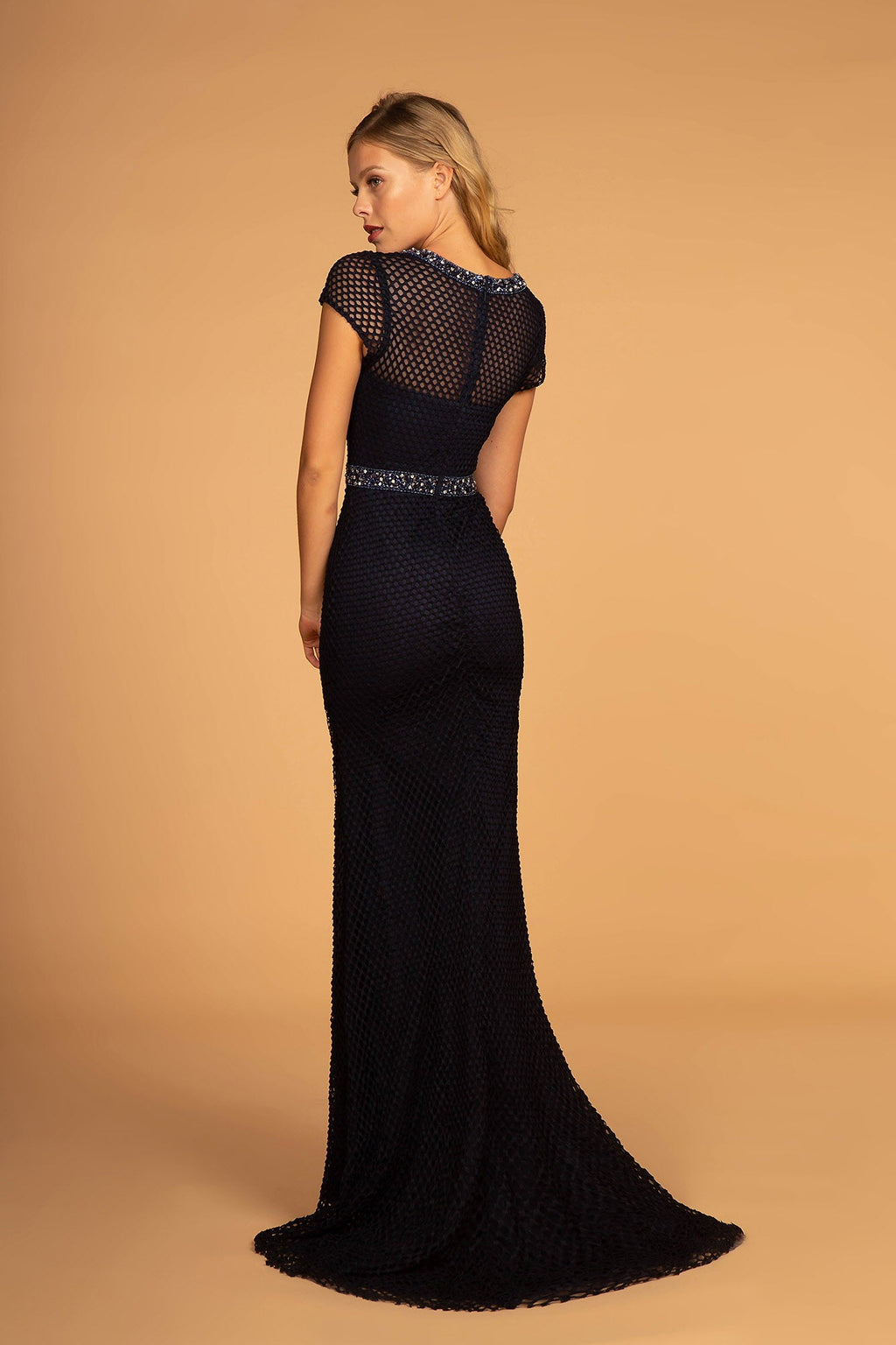 Nightgown | Short Sleeve Netting Mermaid Long Dress
