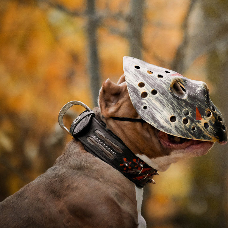 The Haunted Collar Limited