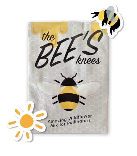 Kit de bienvenida para jardín de abejas de flores silvestres con semillas no transgénicas, hojas informativas y tarjeta de felicitación de arte popular con arte de abeja dibujado a mano (Celebra a los polinizadores)