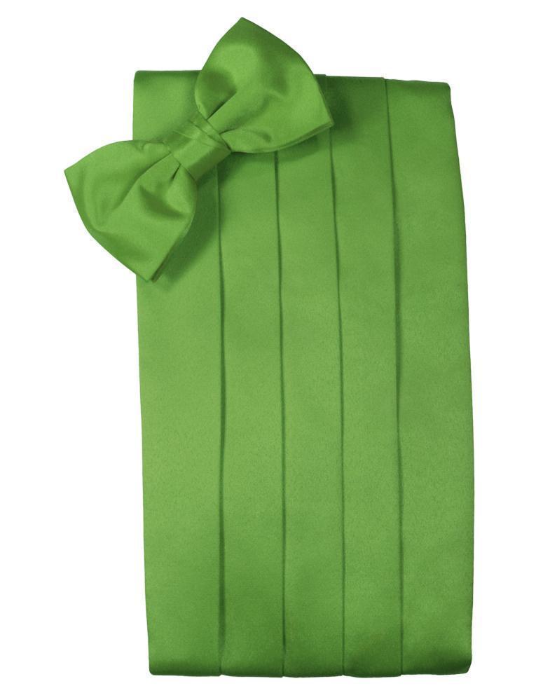 Mens Cummerbund | Set Luxury Satin Cummerbund & Bow Tie