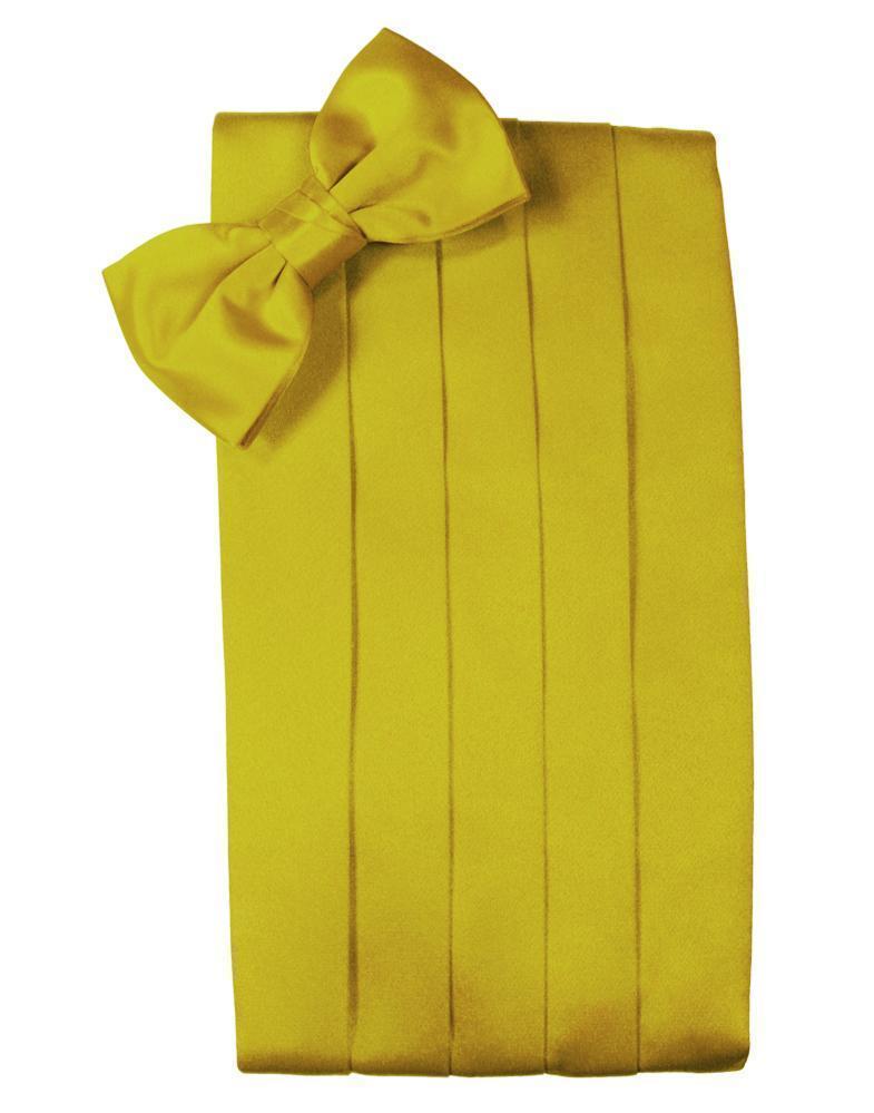 Mens Cummerbund | Set Luxury Satin Cummerbund & Bow Tie