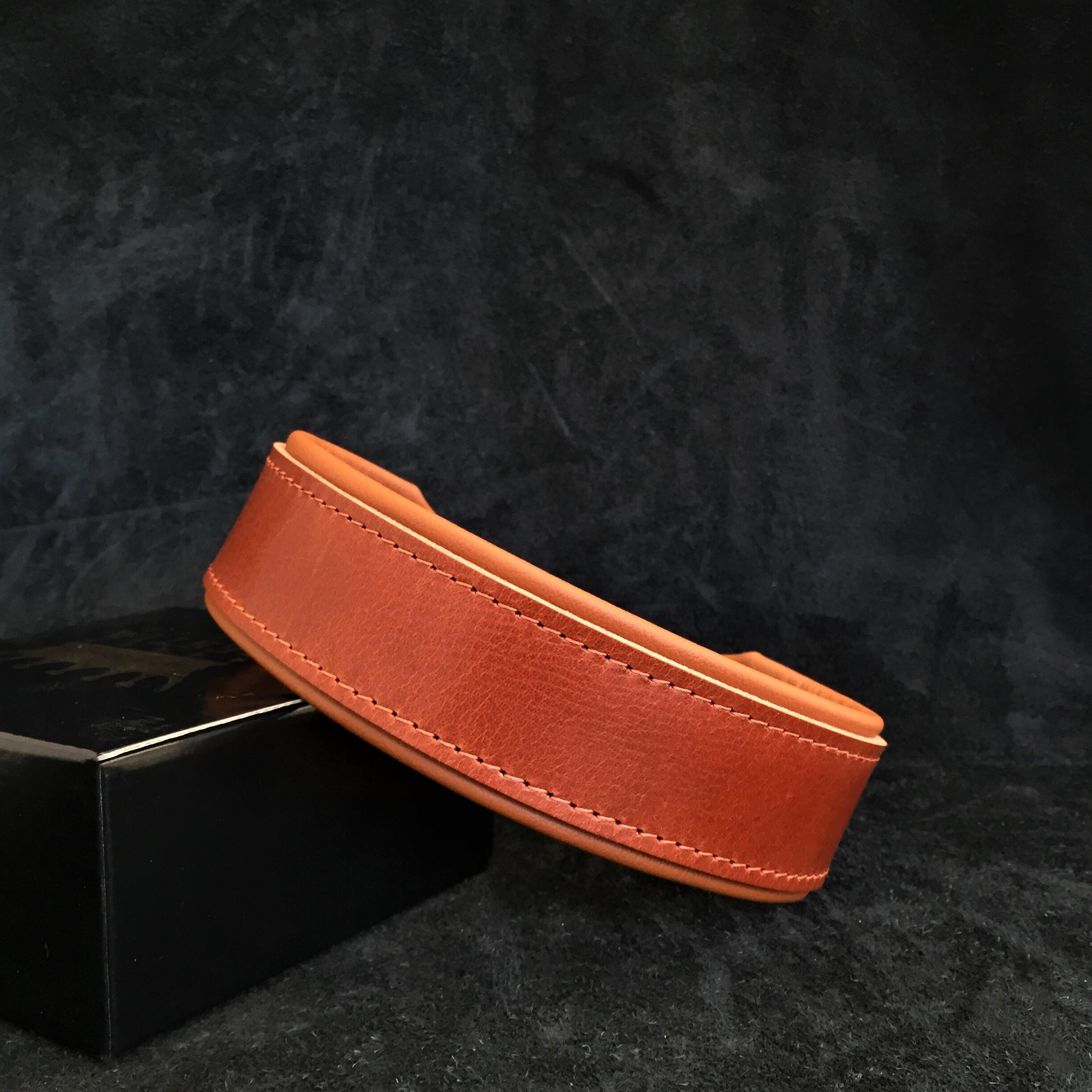 Stylish 2 Inch Wide Dog Collar