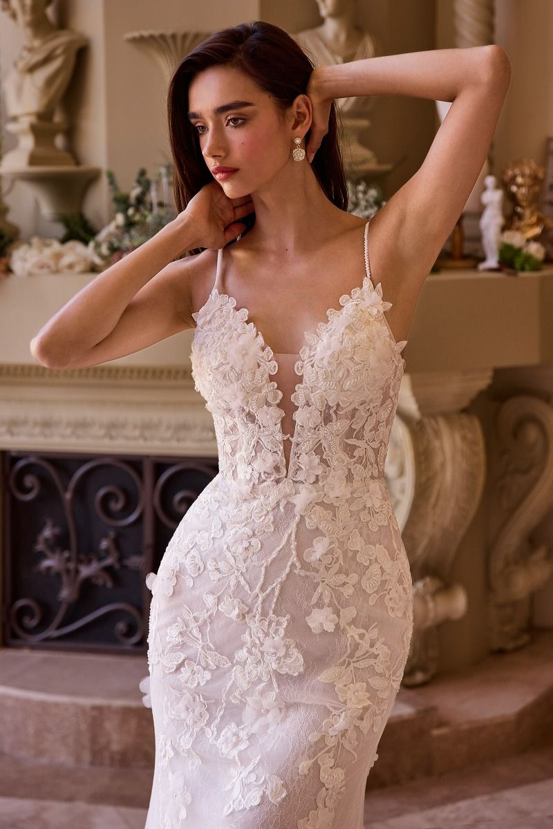 Wedding Dress | Fitted Lace Wedding Gown