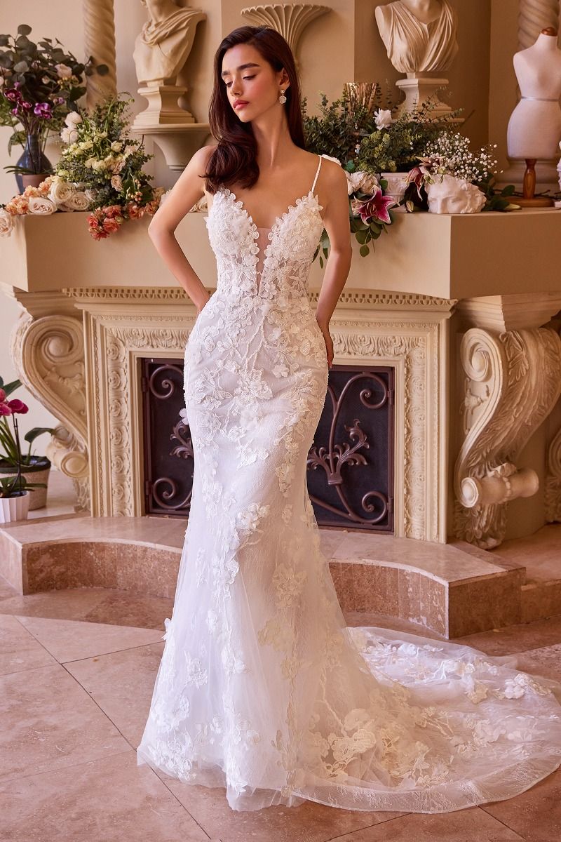 Fitted Lace Wedding Gown is a women's formal dress selected for formal events, cocktail parties, weddings, dinners, photo occasions, and evening plans. Design details are based on the product title and available listing information. It helps customers compare style, fit, fabric, occasion, season, and available variant options before purchase.